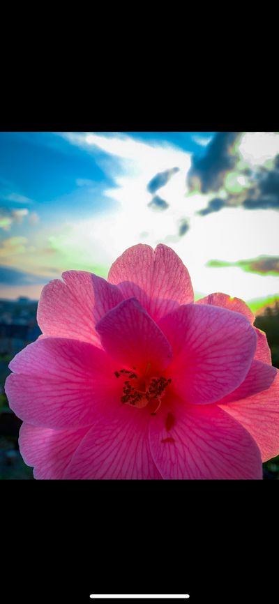 gorgeouslypippa thumbnail