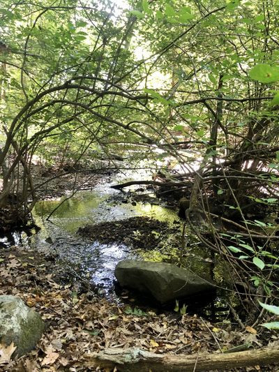 tom32809328 thumbnail