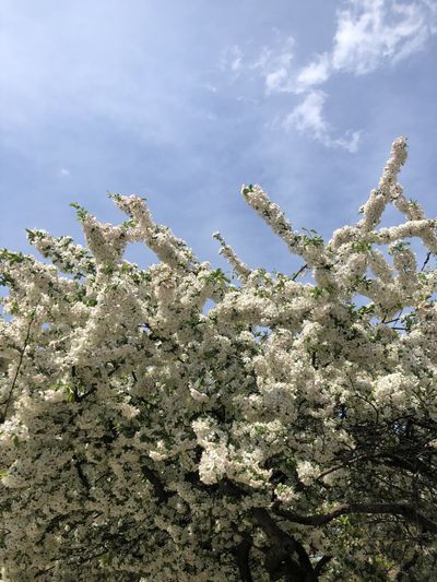 xxxonabeach thumbnail