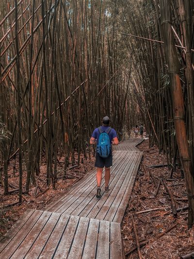 wienerboi97 thumbnail