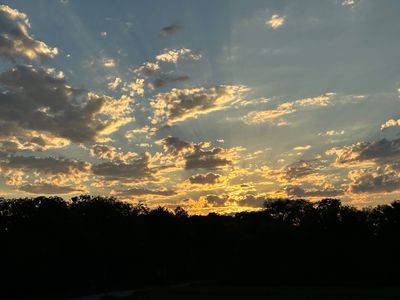 morningnoonnight thumbnail