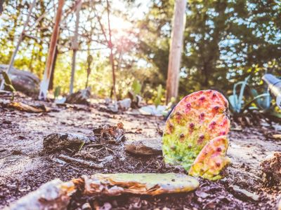 littlemrsrabbit thumbnail