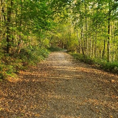 cjames1998 thumbnail