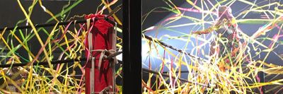 ウナギ・サヤカ🐯🦊🦖 thumbnail