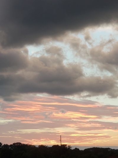 Diana Trevor thumbnail