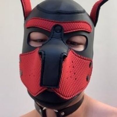 pupkev_v profile