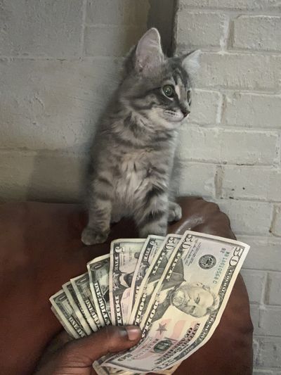 maddmaxx41 thumbnail