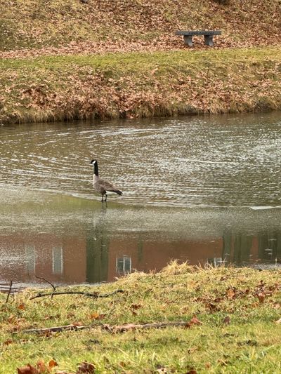 weird_bi_girl thumbnail