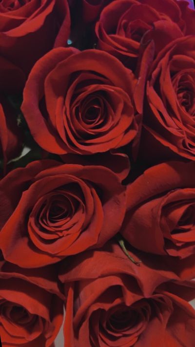 simplybella1 thumbnail