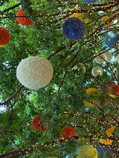 bigtitsjessvip thumbnail