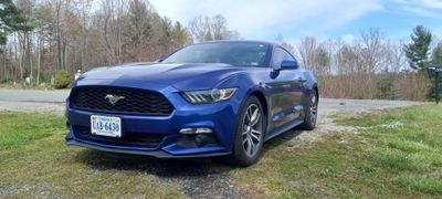 bbcadrian420 thumbnail