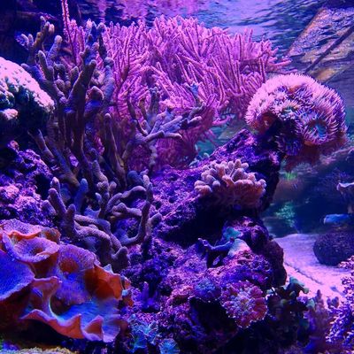 littlemissmunch thumbnail