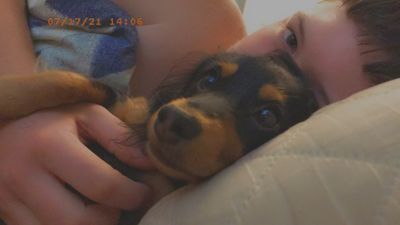 kmoney42022 thumbnail