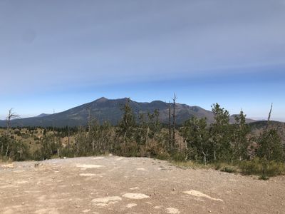 BigBootyJuddy thumbnail