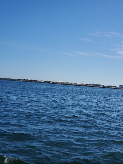 Bill that guy, and oh my.... thumbnail