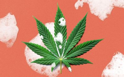 𝕃𝕚𝕡𝕤𝕠𝕙𝕤𝕠𝕤𝕖𝕩𝕚 thumbnail