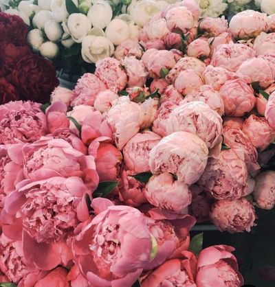 yessie_lovee97 thumbnail