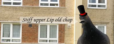 blackhorn123 thumbnail