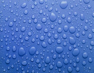 xthiccchickx thumbnail