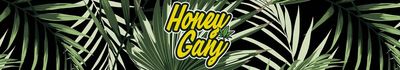 thehoneyganj thumbnail