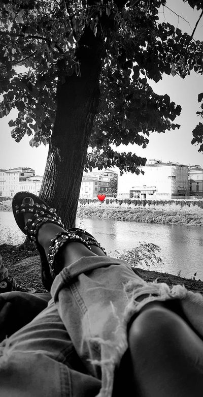 Moon Claire🌙 thumbnail