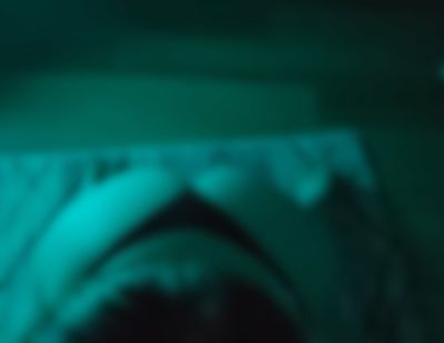 sarahbrave thumbnail