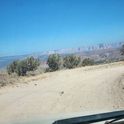 u230471917 thumbnail