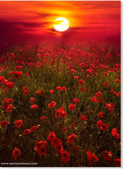 u184825378 thumbnail