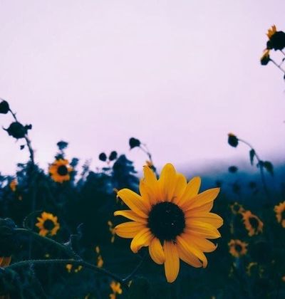 joeyvalentine thumbnail