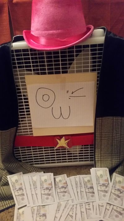 only_actual_fans profile