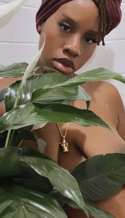 yourlotusflower profile