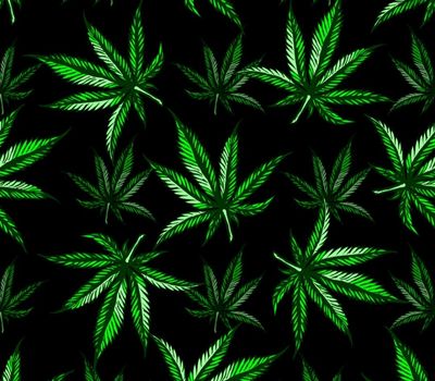 eastcoastsugar thumbnail