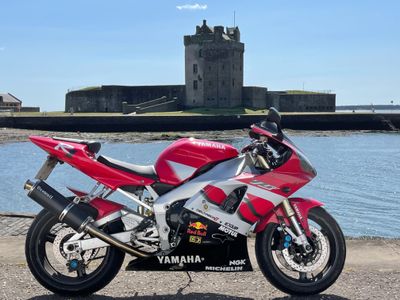 angus_meatman thumbnail