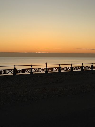 sweetcinnamonbun thumbnail