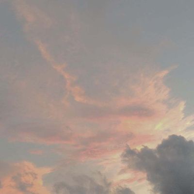 princelovebug thumbnail