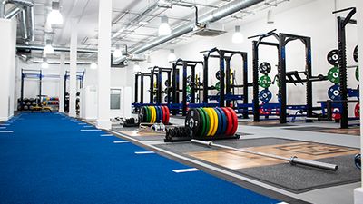 dante_vissers_premium thumbnail