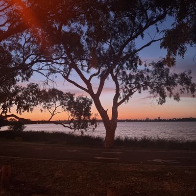 Ꮯhєчє thumbnail