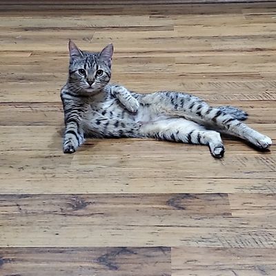 mjohnstonofficial thumbnail