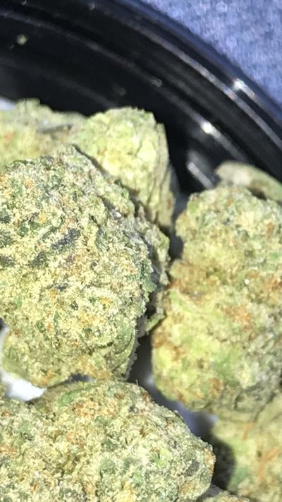 jaydrizzzle thumbnail