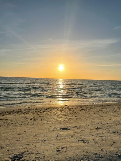 wren_taylor thumbnail