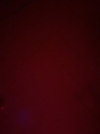 thebearjew129224 profile