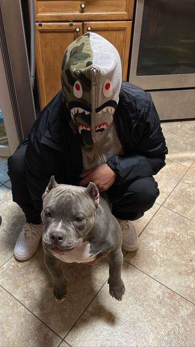 ciscostouch thumbnail