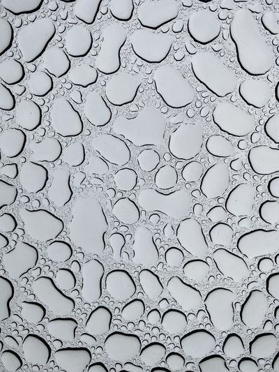 brightfeet thumbnail