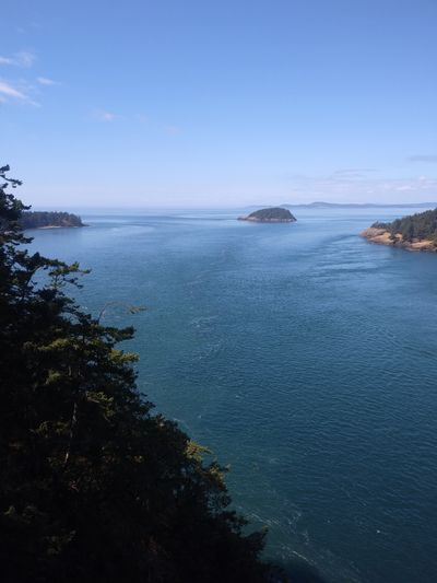 itsprobablyjake thumbnail