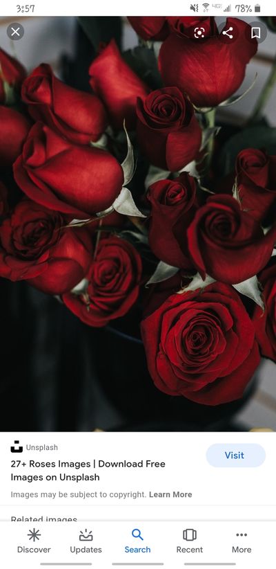 alizalicious thumbnail