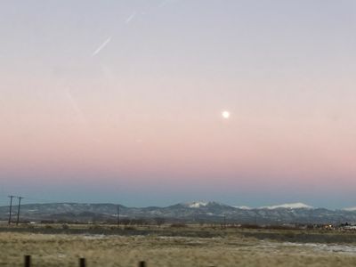 trippy_lil_hippie thumbnail