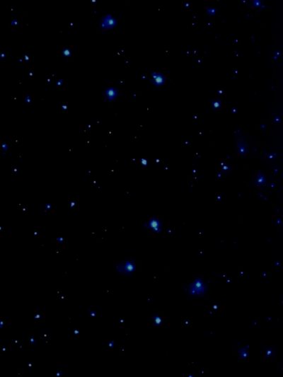 fantasiaferraro profile