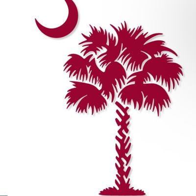 Carolina Made🌴 profile