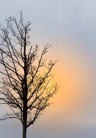 mrslovakia thumbnail