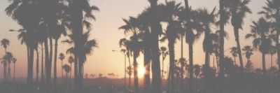 vmfpnova28 thumbnail